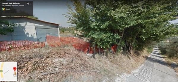 immagine annuncio 3 di 11