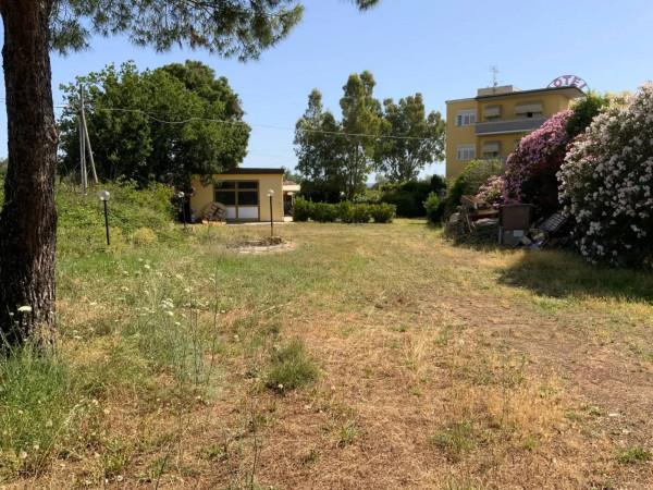 immagine annuncio 8 di 11