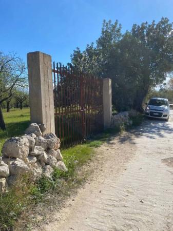 immagine annuncio 2 di 11