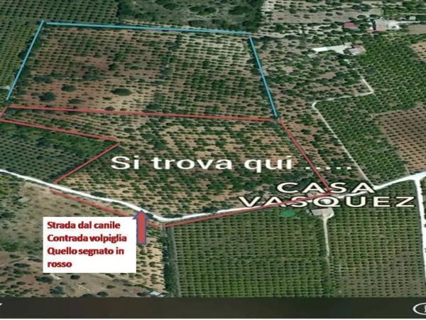 immagine annuncio 7 di 11