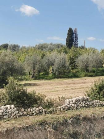 immagine annuncio 6 di 7