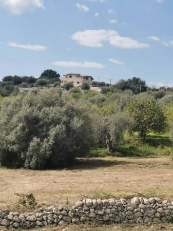 immagine annuncio 6 di 7