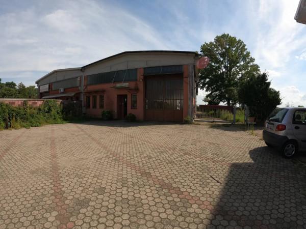 Magazzino in Via Costantino Crosa, Cerano, {3} - Foto 1