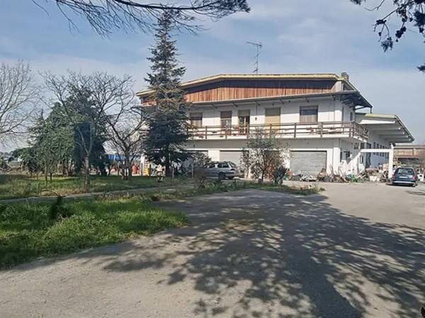 Magazzino in Viale dell'Artigianato, Codigoro, {3} - Foto 1