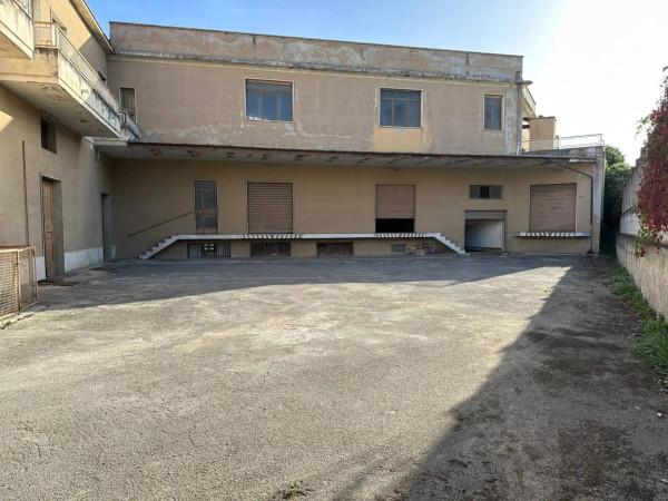 Magazzino in Via Roma, Torre De' Passeri, {3} - Foto 1
