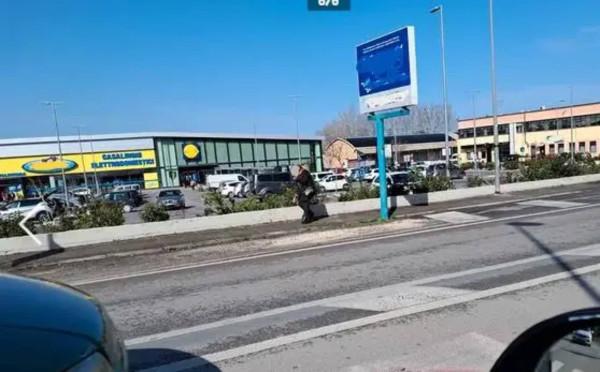 Magazzino in Via Guglielmo Marconi, Falconara Marittima, {3} - Foto 2