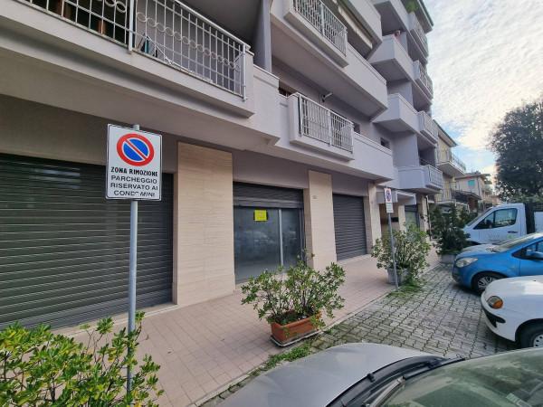 Negozio in Viale Bruno Buozzi, Tolentino, {3} - Foto 2