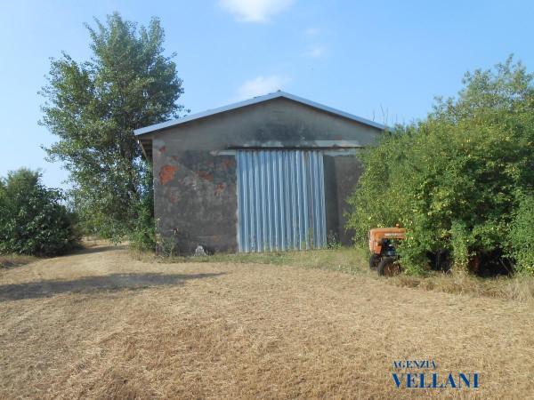 immagine annuncio 8 di 9