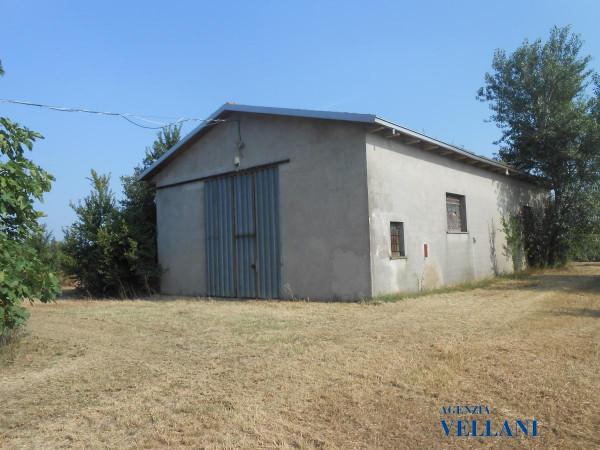 immagine annuncio 5 di 9