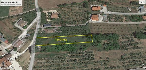 insertion image