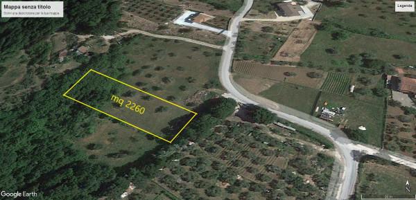 insertion image