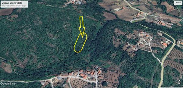 insertion image