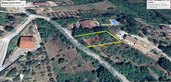 insertion image