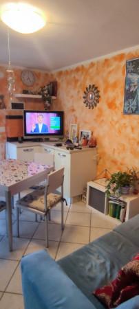 immagine annuncio 5 di 11