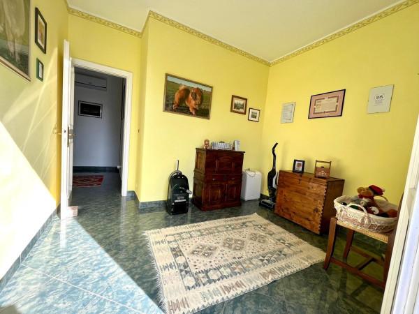immagine annuncio 11 di 13