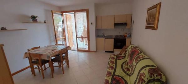 immagine annuncio 5 di 14