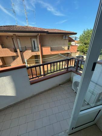 immagine annuncio 5 di 8