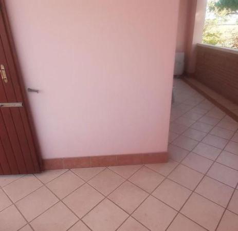 immagine annuncio 8 di 12