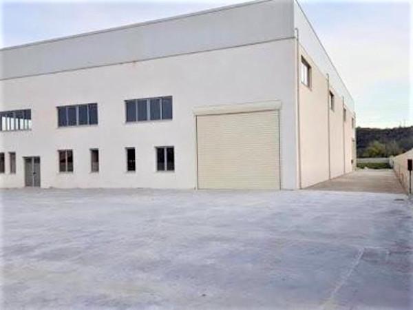 Capannone in , Cittadella, {3} - Foto 1
