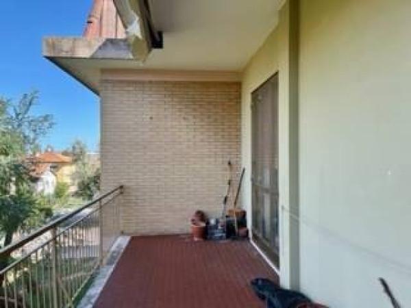 immagine annuncio 5 di 12