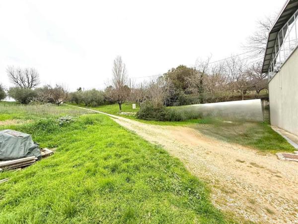Magazzino in , Montefelcino, {3} - Foto 2