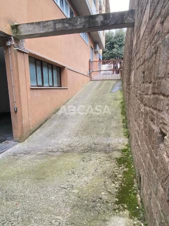 insertion image