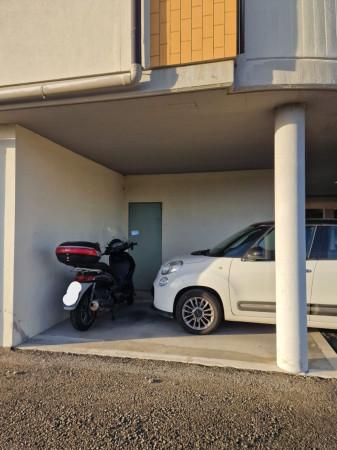 immagine annuncio 7 di 8