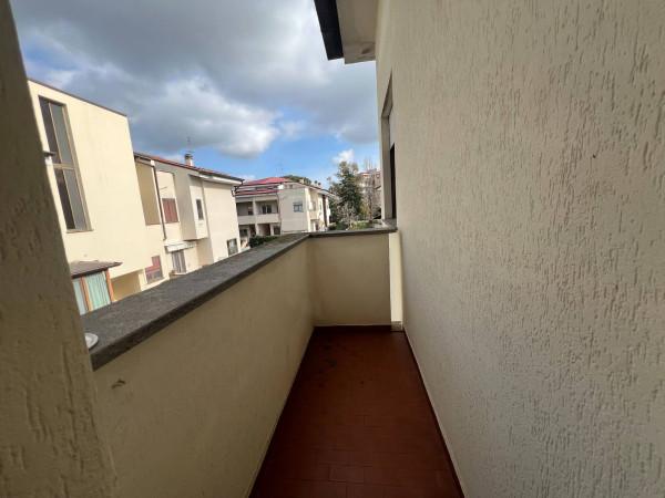 immagine annuncio 7 di 8