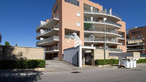 immagine annuncio 13 di 14