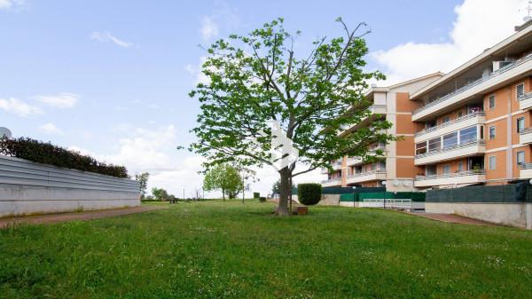 immagine annuncio 8 di 9