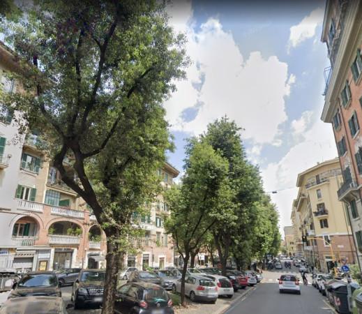 Pizzeria in Via Tagliamento, Roma, {3} - Foto 1