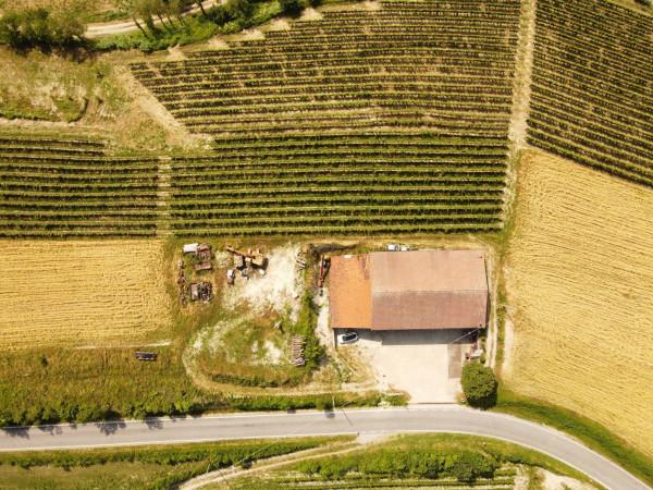 Capannone in Località Sant'Anna, Monforte D'Alba, {3} - Foto 1