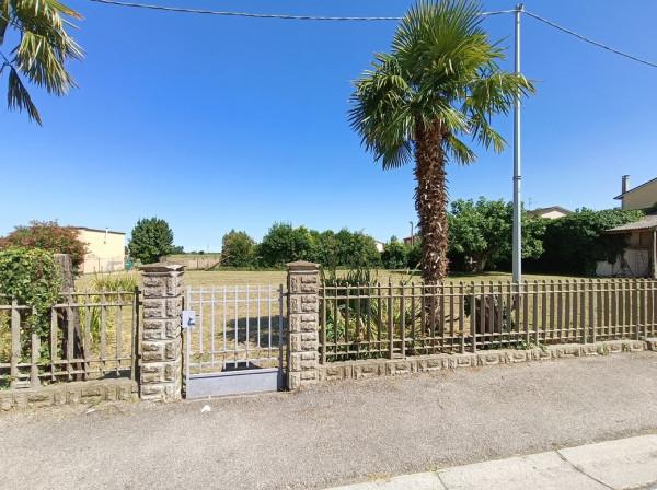 immagine annuncio 3 di 9