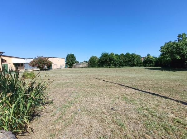 immagine annuncio 2 di 9