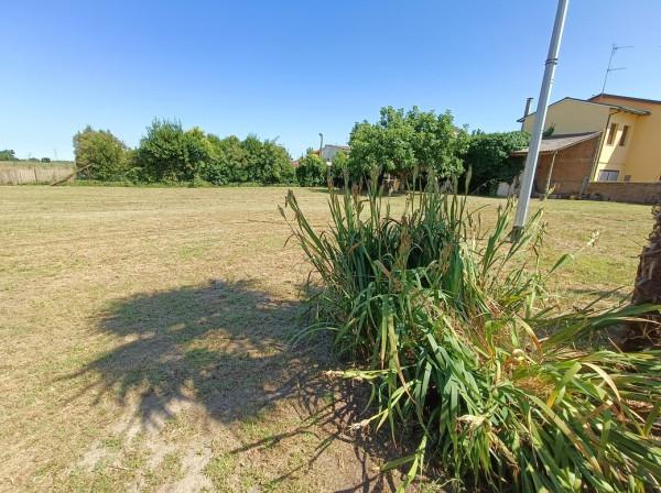 immagine annuncio 8 di 9