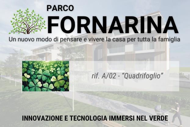 immagine annuncio 12 di 13