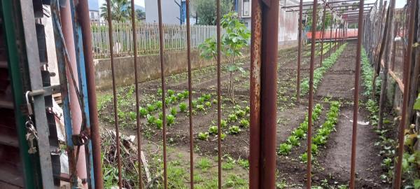 Magazzino in Via Provinciale Fontanelle, Castellammare Di Stabia, {3} - Foto 1