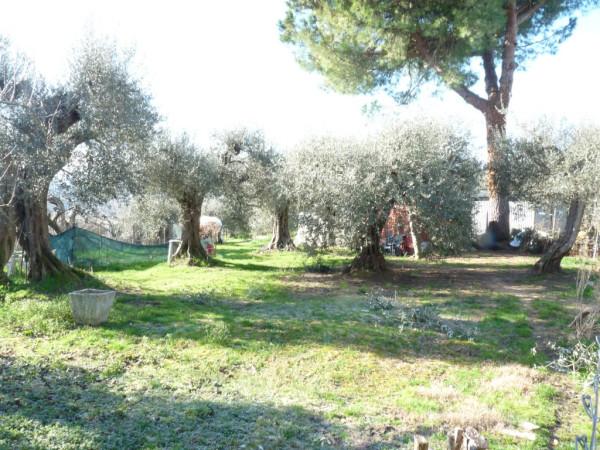 immagine annuncio 11 di 13