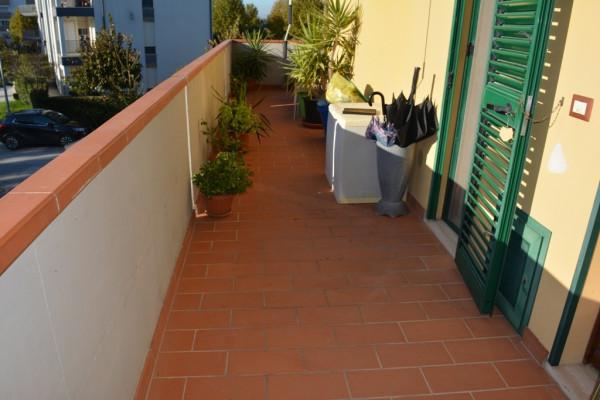 immagine annuncio 3 di 8