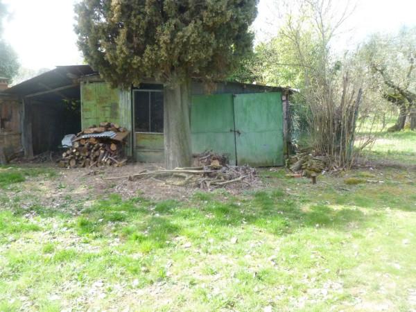 immagine annuncio 4 di 7