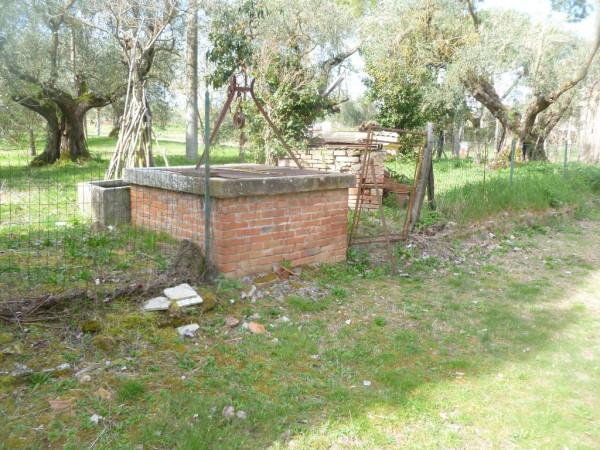 immagine annuncio 5 di 7