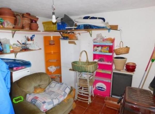 immagine annuncio 9 di 14