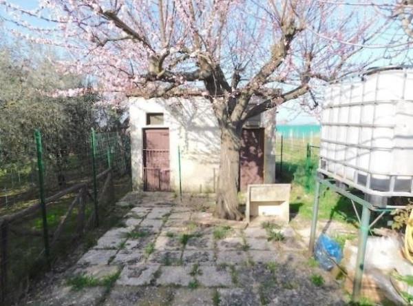 immagine annuncio 12 di 14