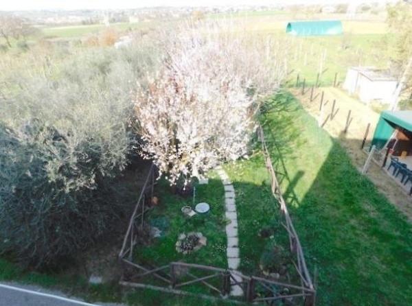 immagine annuncio 11 di 14