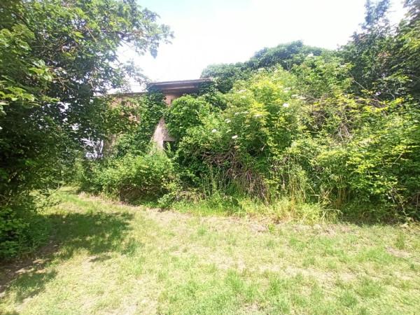 immagine annuncio 4 di 14