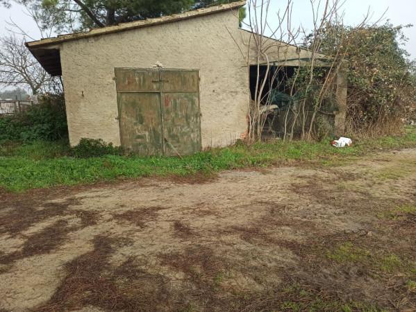 immagine annuncio 9 di 11