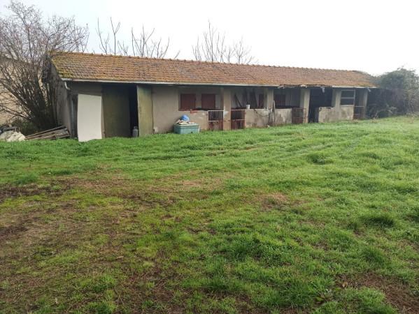 immagine annuncio 6 di 11