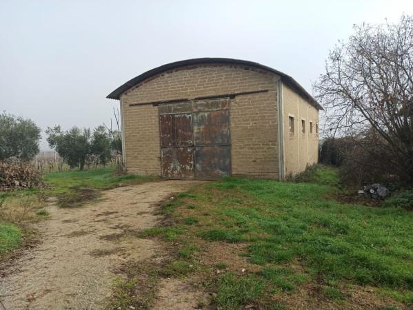 immagine annuncio 8 di 11