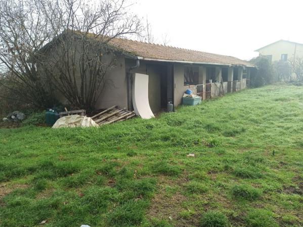 immagine annuncio 7 di 11