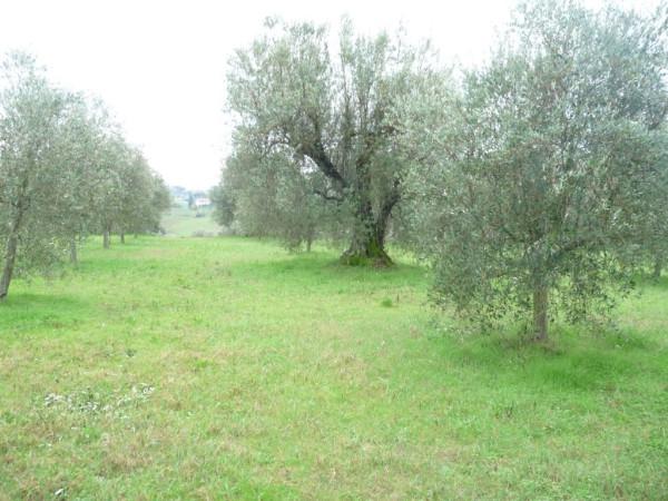immagine annuncio 3 di 7